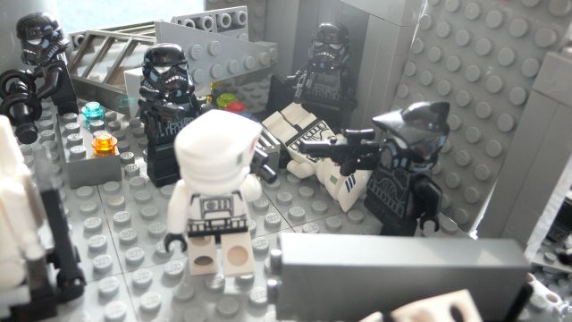 b-arf-31.jpg