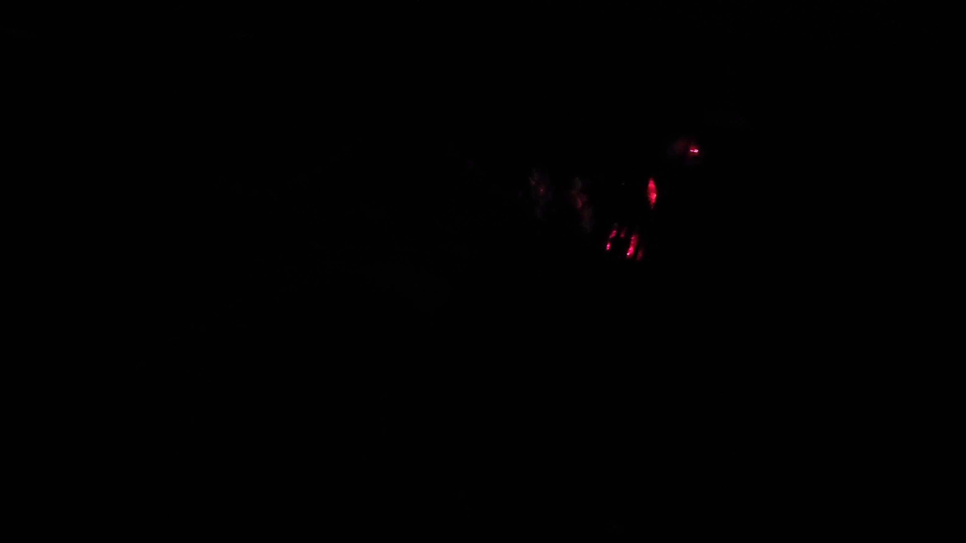 104-101_0261.jpg