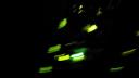 108-101_0265.jpg