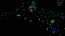 110-101_0267.jpg