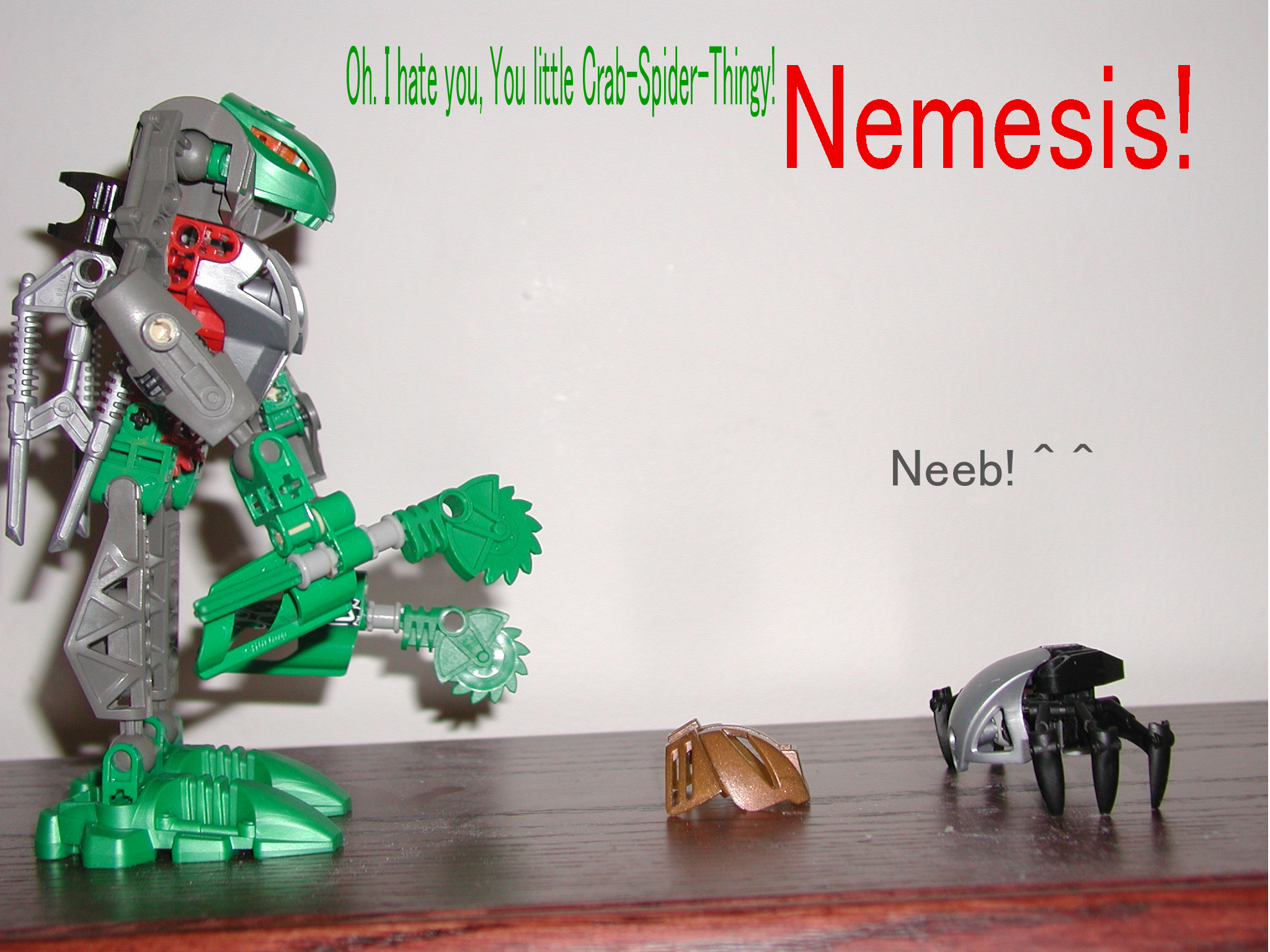 neeb-02.jpg