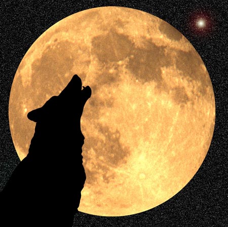 wolf_moon.jpg
