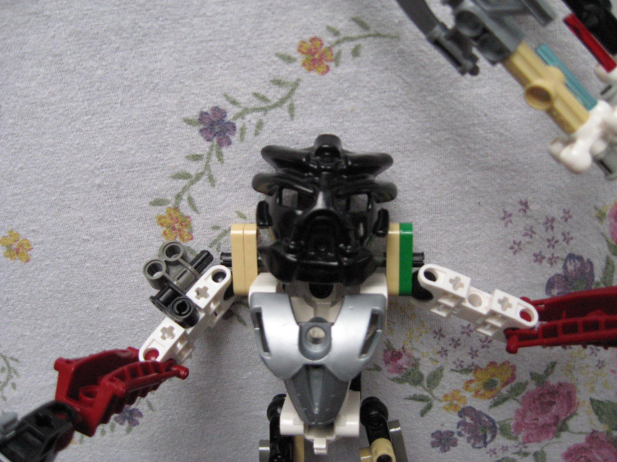 takanuva3.jpg