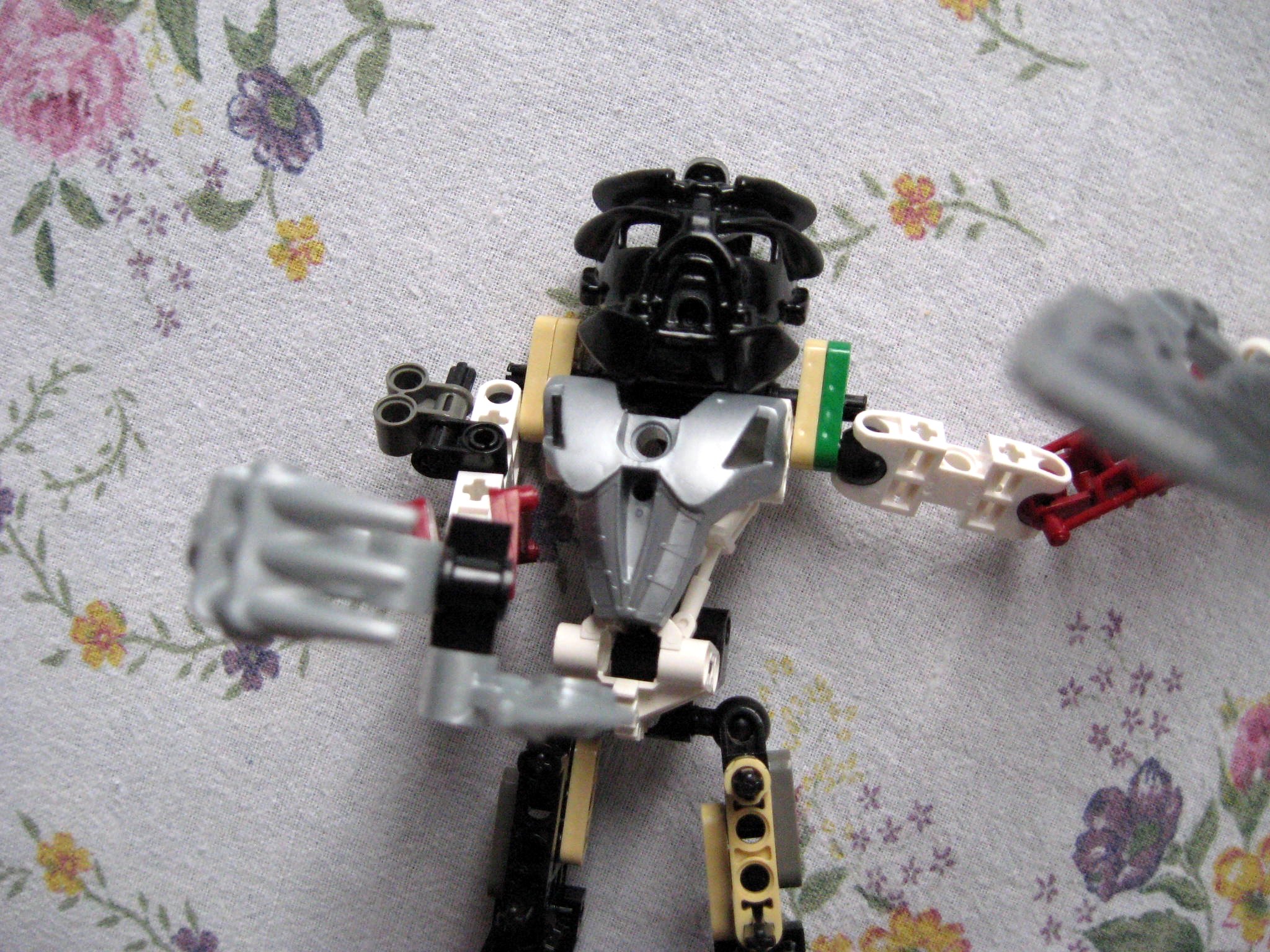 takanuva4.jpg
