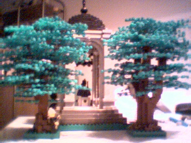 trees01.jpg
