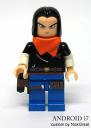android17.jpg