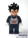 vegeta_.jpg