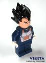 vegeta_b.jpg