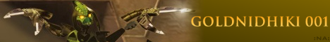 goldnidhiki001banner.png