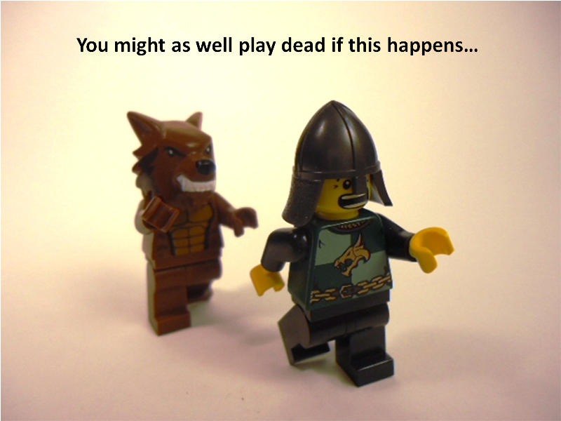picture_0013.png