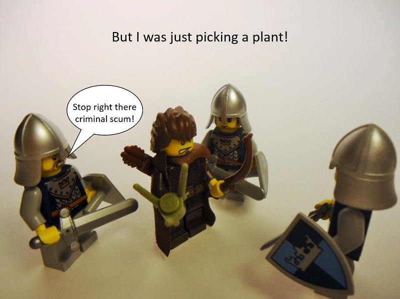 picture_0122.png