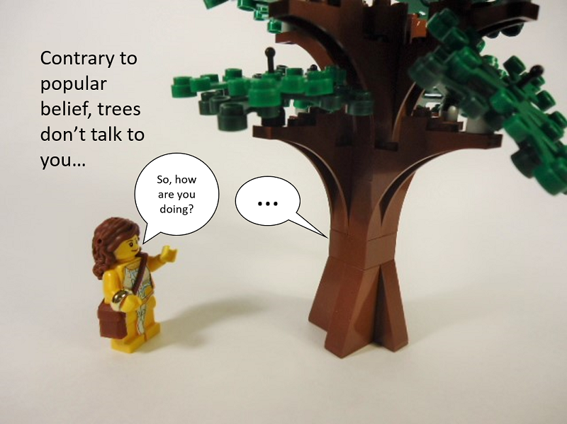picture_0155.png