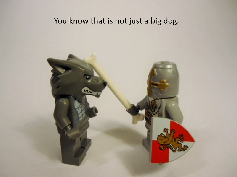 picture_0167.png