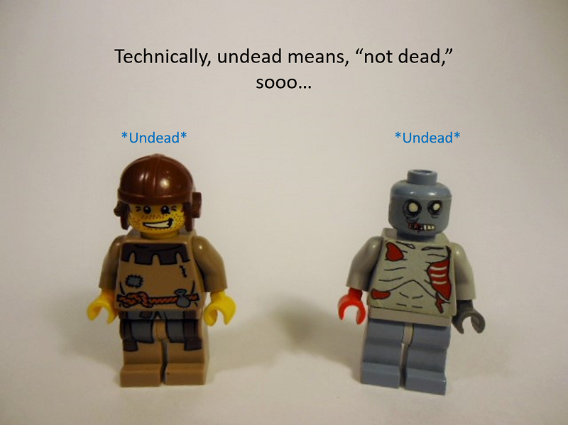 picture_0173.png