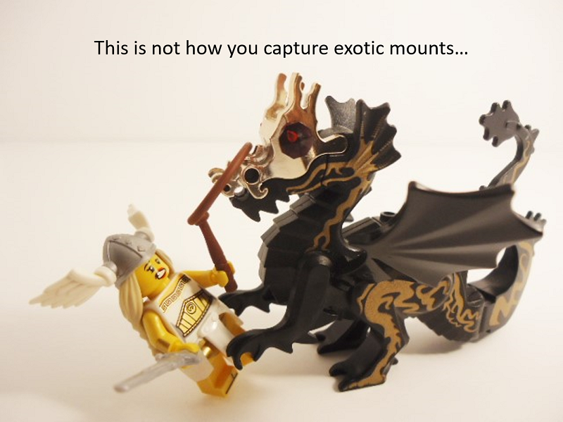 picture_0271.png