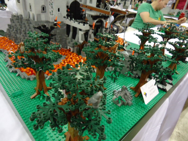 dsc00984.jpg