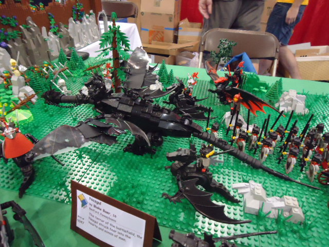 dsc00993.jpg