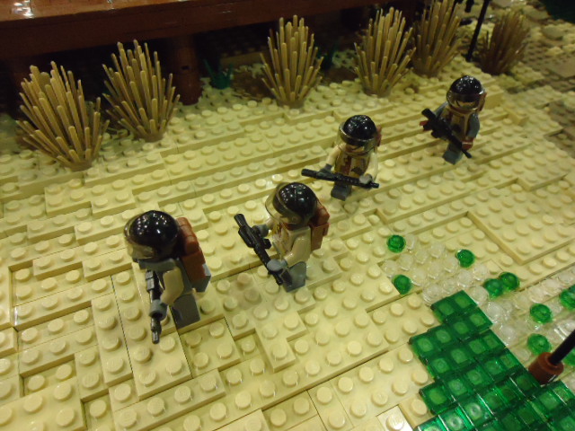 dsc01040.jpg