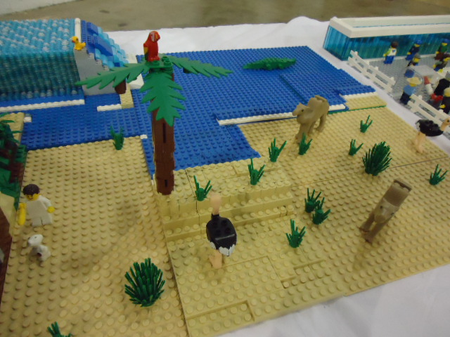 dsc01095.jpg