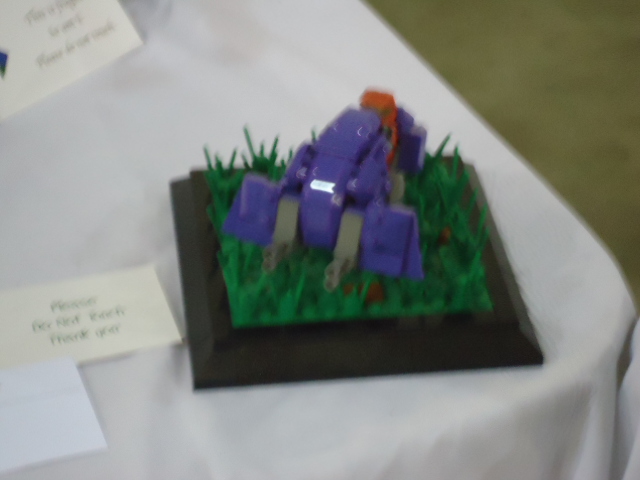 dsc01124.jpg