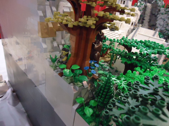 dsc01138.jpg