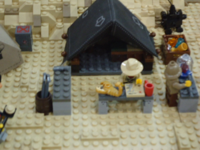 dsc01212.jpg