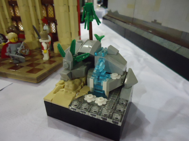 dsc02217.jpg
