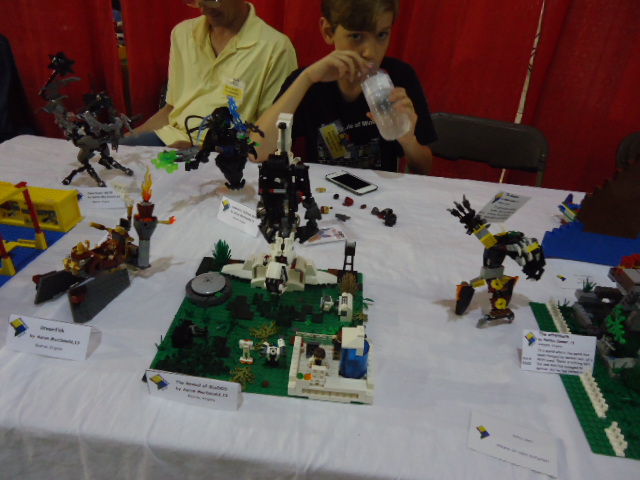 dsc02390.jpg