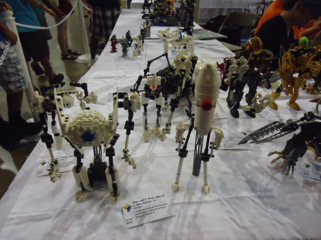 dsc02408.jpg
