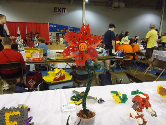 dsc02422.jpg
