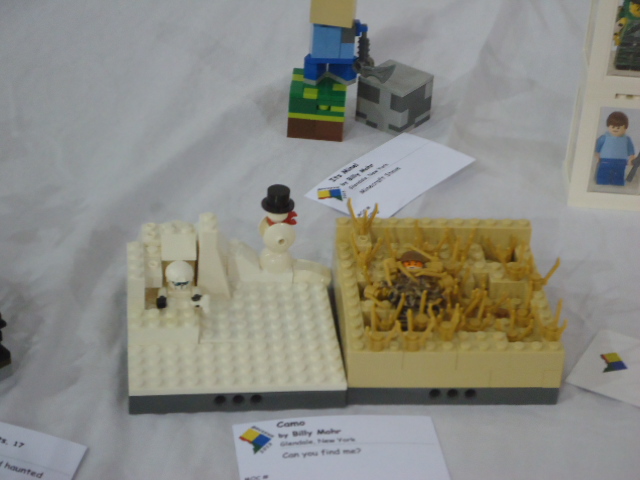 dsc02689.jpg