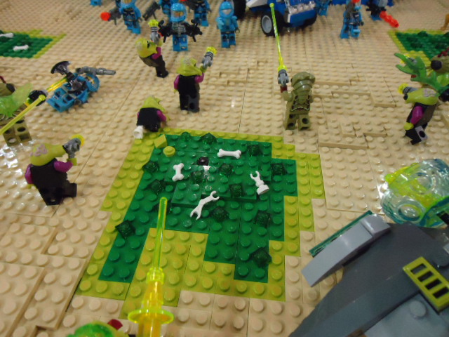 dsc02872.jpg