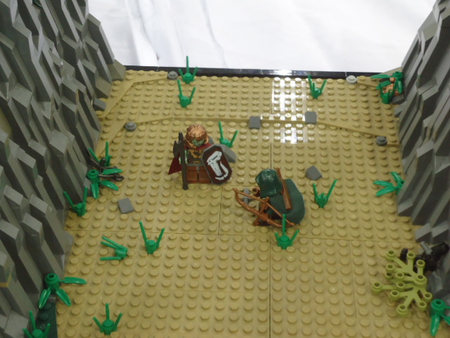 dsc04245.jpg