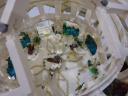 dsc03763.jpg