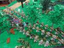 dsc04050.jpg