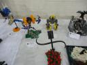 dsc04188.jpg
