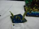 dsc04232.jpg