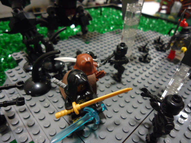dsc05442.jpg
