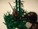 dsc02101.jpg