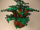 ForestWatch