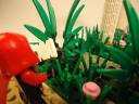 dsc03335.jpg