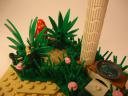 dsc03337.jpg