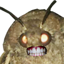 moth.png