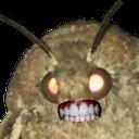 moth.png