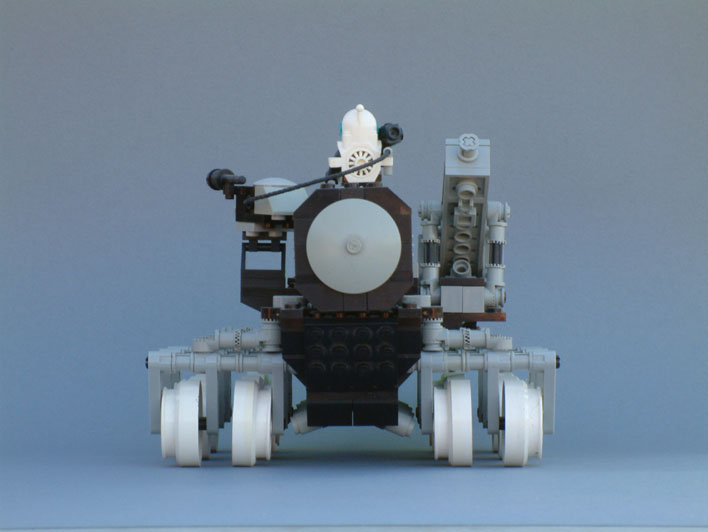 armadilloback2.jpg