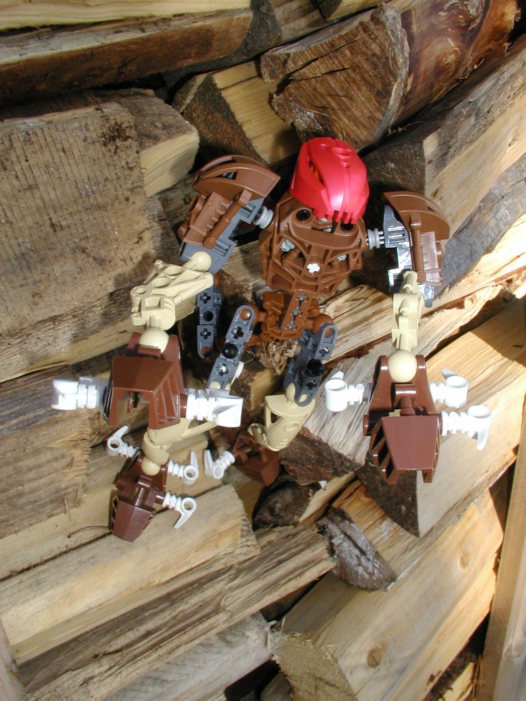 cheetah-bionicle4.jpg