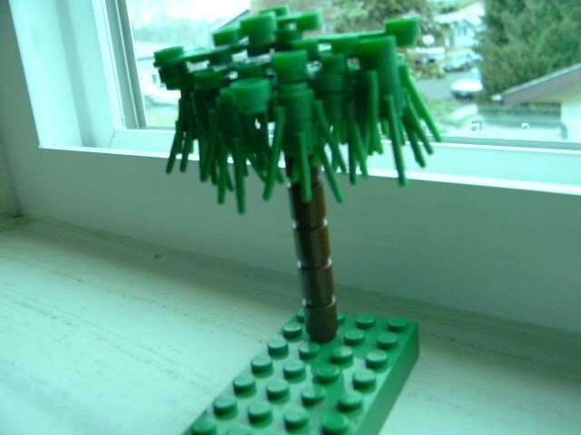 swamptree1.jpg
