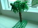 swamptree1.jpg