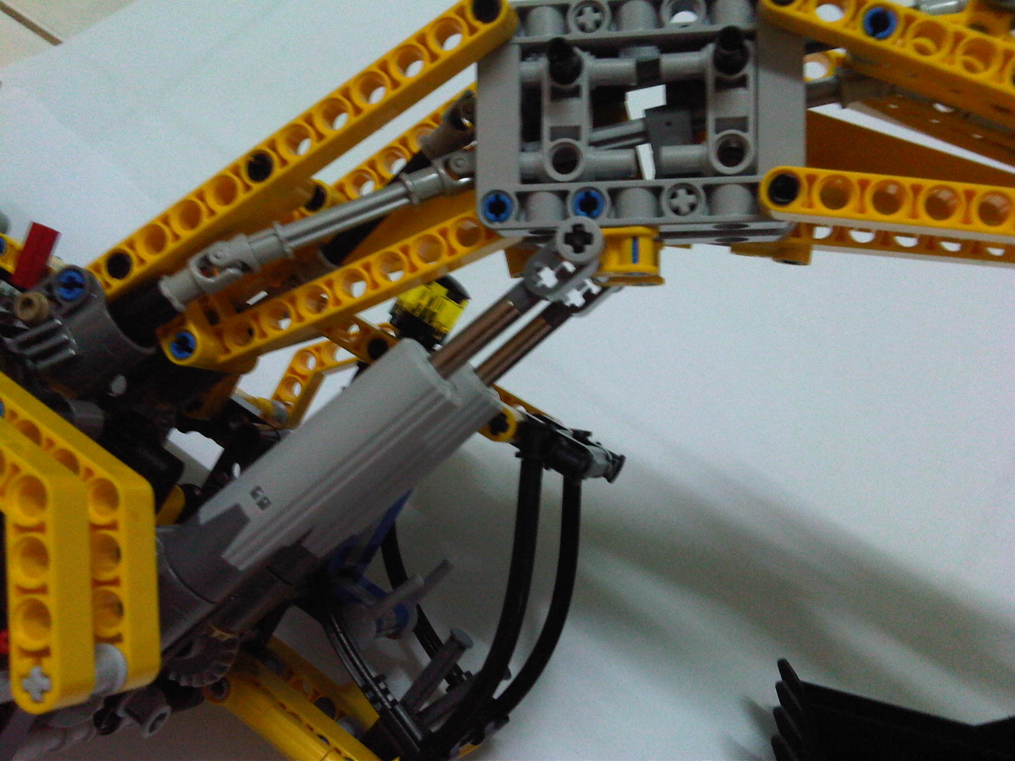 img00559-20101203-0831.jpg