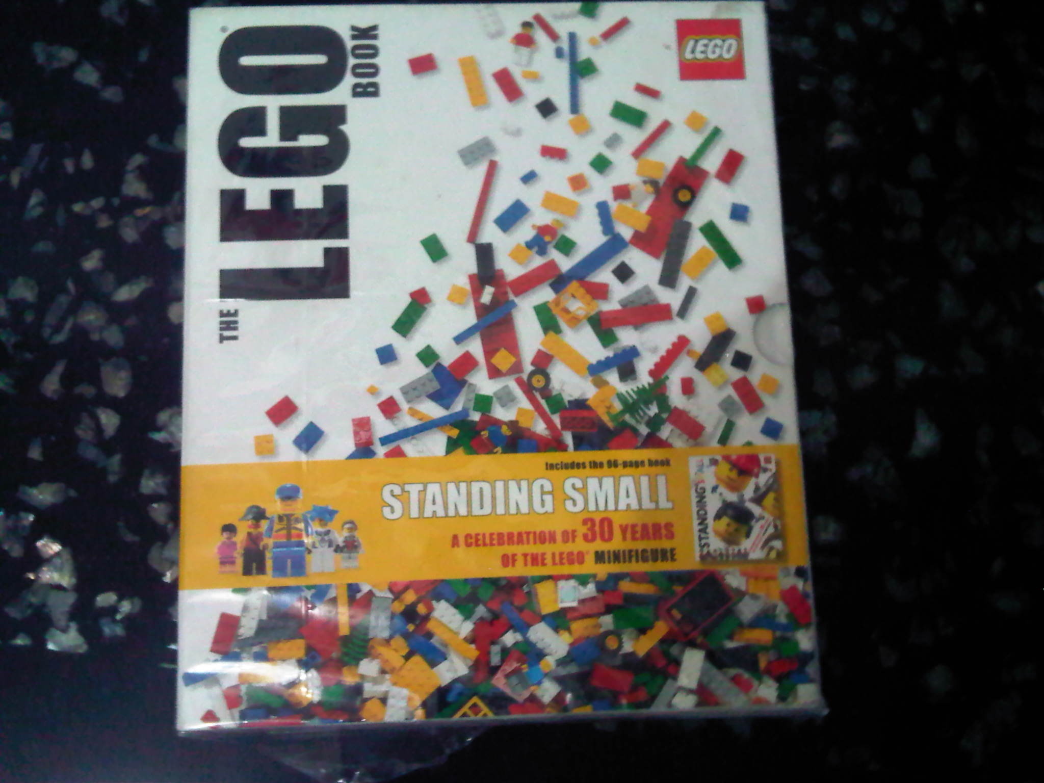 img01253-20110807-2210.jpg